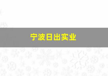 宁波日出实业