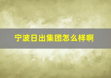 宁波日出集团怎么样啊