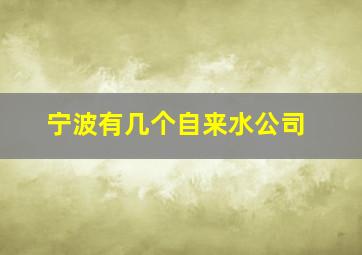 宁波有几个自来水公司