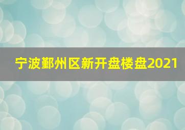 宁波鄞州区新开盘楼盘2021