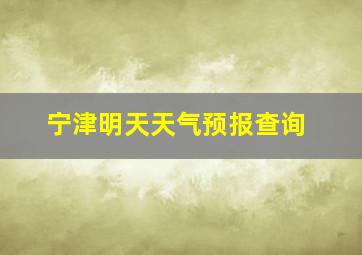 宁津明天天气预报查询