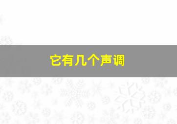 它有几个声调