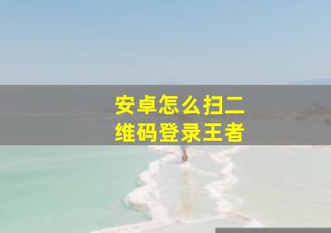 安卓怎么扫二维码登录王者