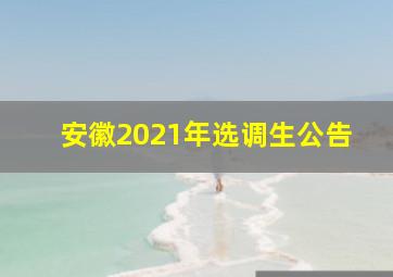 安徽2021年选调生公告