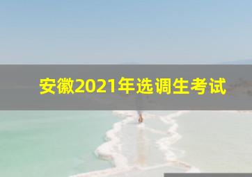 安徽2021年选调生考试