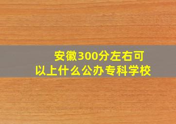 安徽300分左右可以上什么公办专科学校