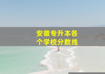 安徽专升本各个学校分数线