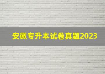 安徽专升本试卷真题2023