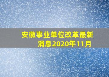 安徽事业单位改革最新消息2020年11月