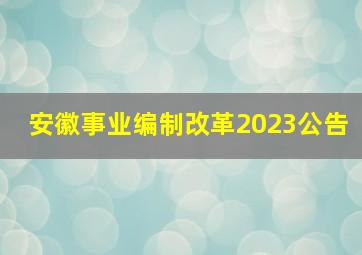 安徽事业编制改革2023公告