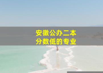 安徽公办二本分数低的专业