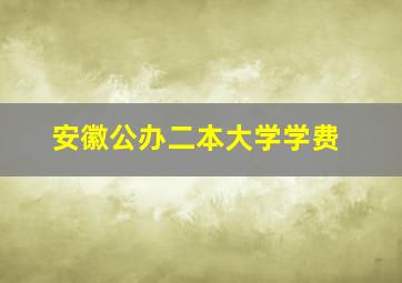 安徽公办二本大学学费