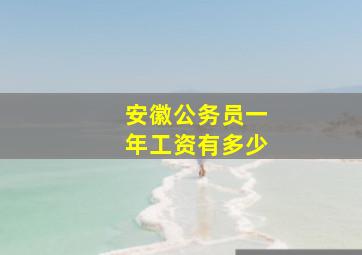 安徽公务员一年工资有多少