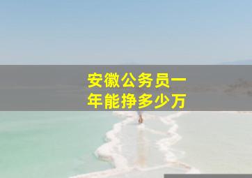 安徽公务员一年能挣多少万