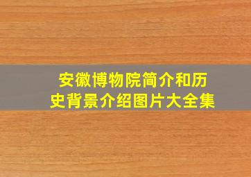 安徽博物院简介和历史背景介绍图片大全集