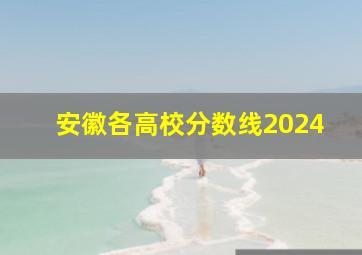 安徽各高校分数线2024