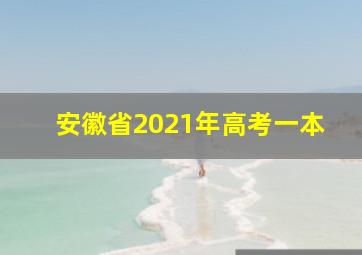 安徽省2021年高考一本