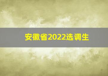 安徽省2022选调生