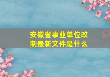 安徽省事业单位改制最新文件是什么