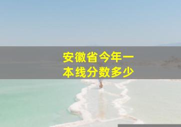 安徽省今年一本线分数多少