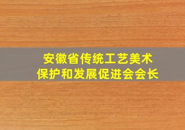 安徽省传统工艺美术保护和发展促进会会长