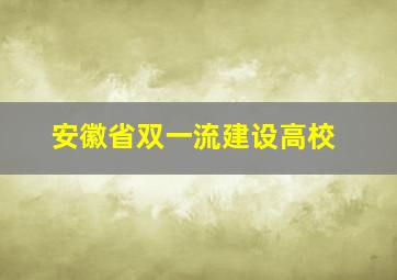 安徽省双一流建设高校