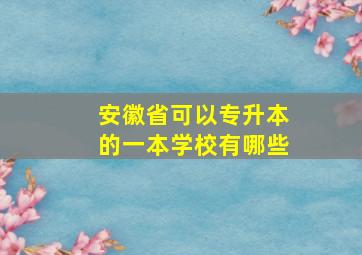 安徽省可以专升本的一本学校有哪些