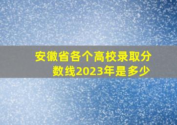 安徽省各个高校录取分数线2023年是多少