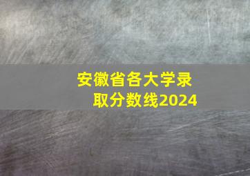 安徽省各大学录取分数线2024