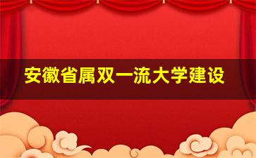 安徽省属双一流大学建设