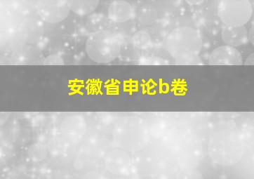 安徽省申论b卷