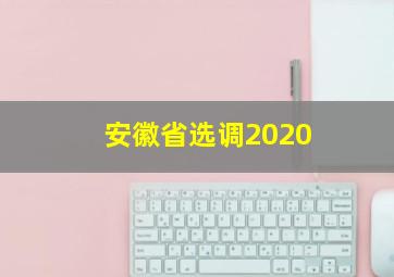 安徽省选调2020