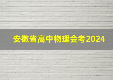 安徽省高中物理会考2024