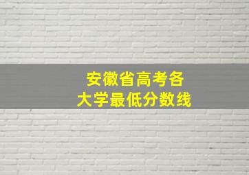 安徽省高考各大学最低分数线