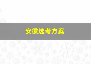 安徽选考方案