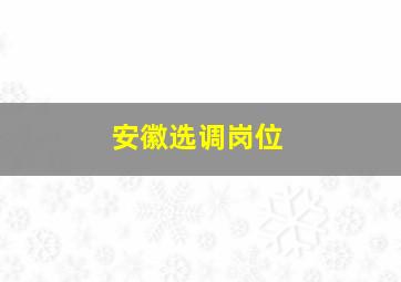 安徽选调岗位