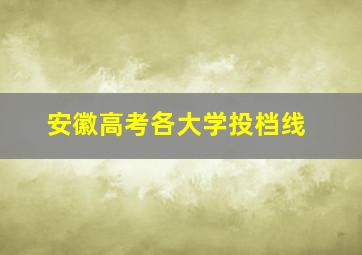 安徽高考各大学投档线