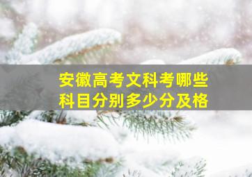 安徽高考文科考哪些科目分别多少分及格