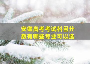 安徽高考考试科目分数有哪些专业可以选