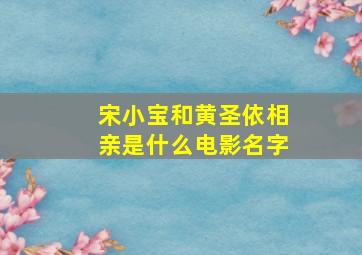 宋小宝和黄圣依相亲是什么电影名字