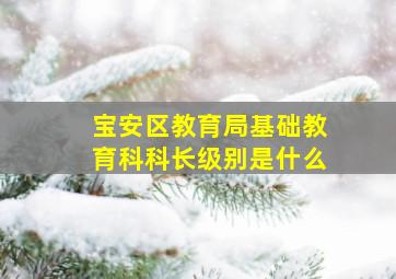 宝安区教育局基础教育科科长级别是什么