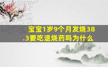 宝宝1岁9个月发烧38.3要吃退烧药吗为什么