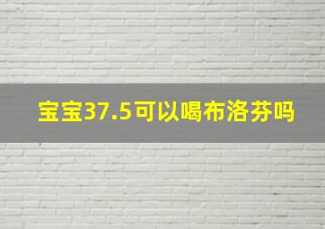 宝宝37.5可以喝布洛芬吗