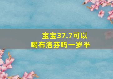 宝宝37.7可以喝布洛芬吗一岁半