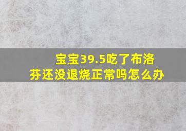 宝宝39.5吃了布洛芬还没退烧正常吗怎么办