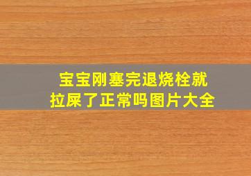 宝宝刚塞完退烧栓就拉屎了正常吗图片大全