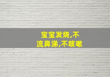 宝宝发烧,不流鼻涕,不咳嗽