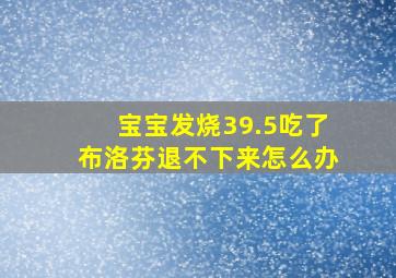 宝宝发烧39.5吃了布洛芬退不下来怎么办