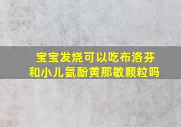 宝宝发烧可以吃布洛芬和小儿氨酚黄那敏颗粒吗