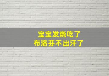 宝宝发烧吃了布洛芬不出汗了